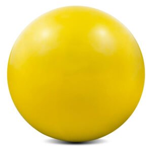 5lb, Weighted Toning Exercise Hand Balls for Pilates & Yoga